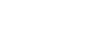 Mi ZJILEA